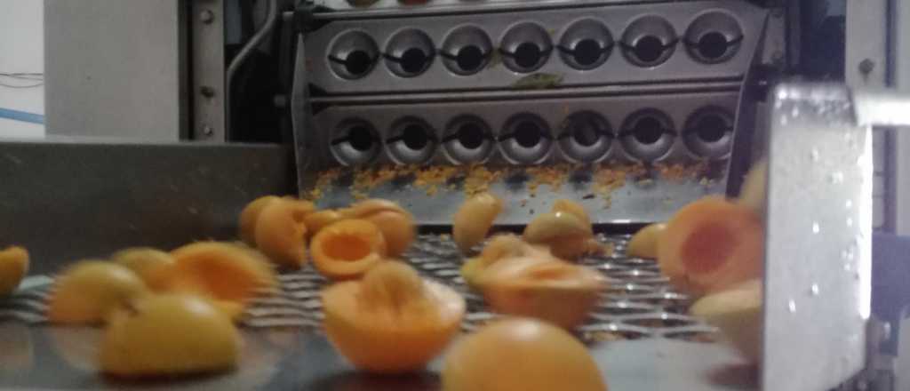 Exportaciones industriales mendocinas marcan alzas en el a&ntilde;o