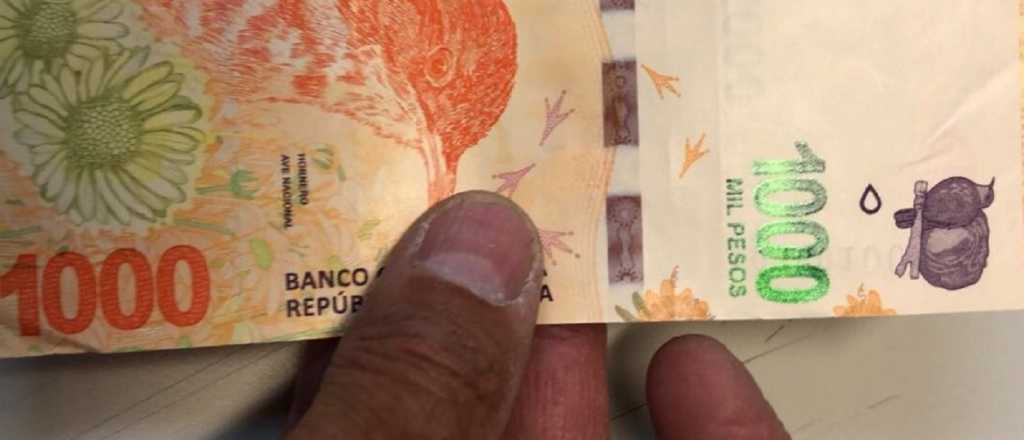 Mejor pájaro en mano: los argentinos ahorran en pesos