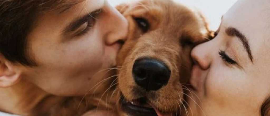 Las 10 mejores razas de perros para tener junto a tu pareja 