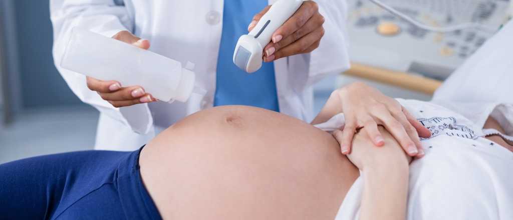 El Gobierno celebr&oacute; el D&iacute;a del Ni&ntilde;o por Nacer: "La vida vence a la muerte"