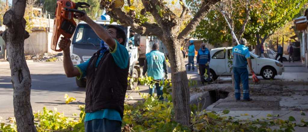 As&iacute; avanzan en Ciudad los trabajos de arbolado, bacheo y asfaltado