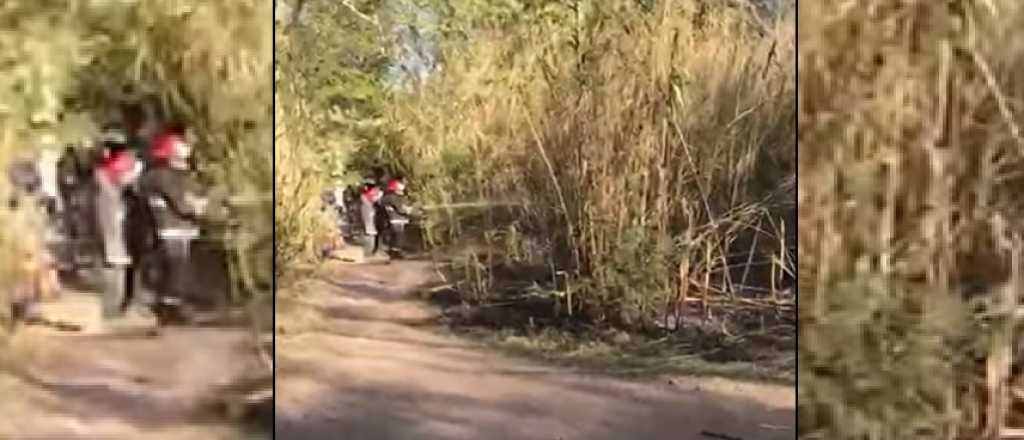 Videos: un hombre provocó un incendio en el Parque San Martín