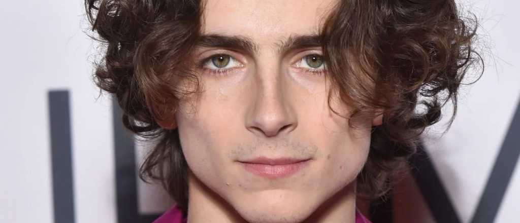 Timoth&eacute;e Chalamet comparti&oacute; su imagen como Willy Wonka
