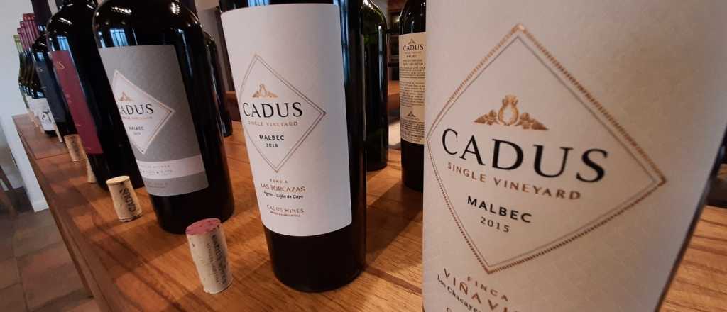 Cadus, el gran vino mendocino de Molinos Río de la Plata