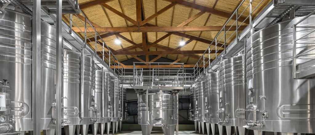 Las bodegas esperan un salto en calidad y productividad en 2022