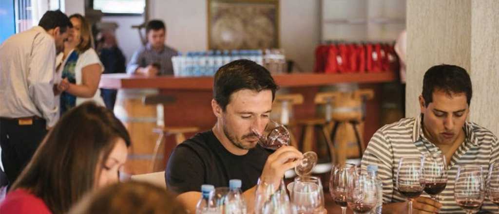 A ciegas: 75 en&oacute;logos eligen los mejores vinos del pa&iacute;s