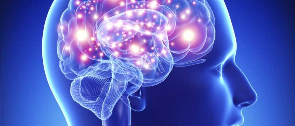 Aseguran que un implante cerebral elimina pensamientos negativos 