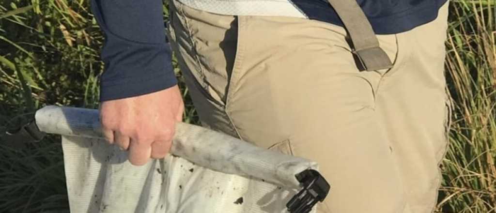 Caso Petito: esperan encontrar pistas en el cuaderno de Laundrie