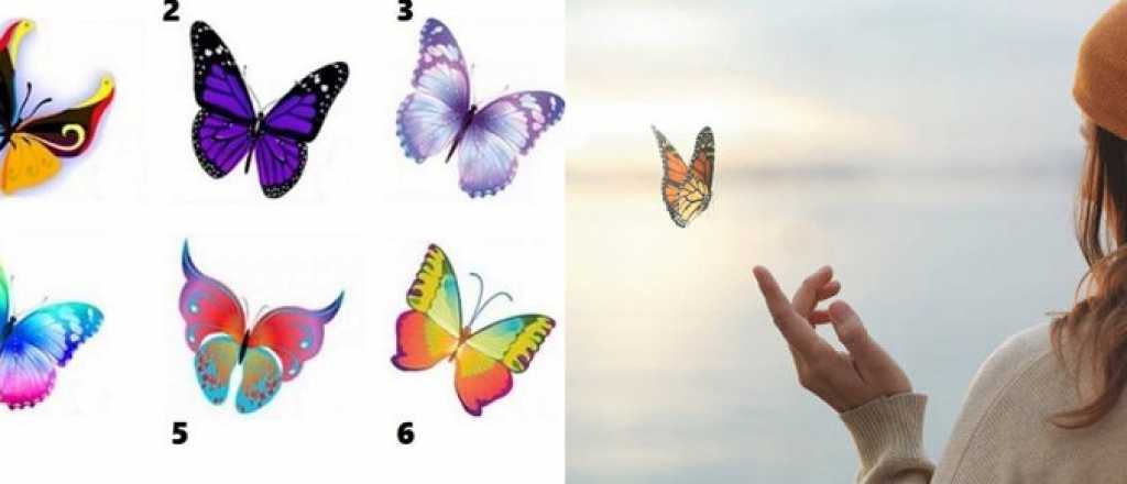 Test: elegí una mariposa y descubrí cómo sos en realidad