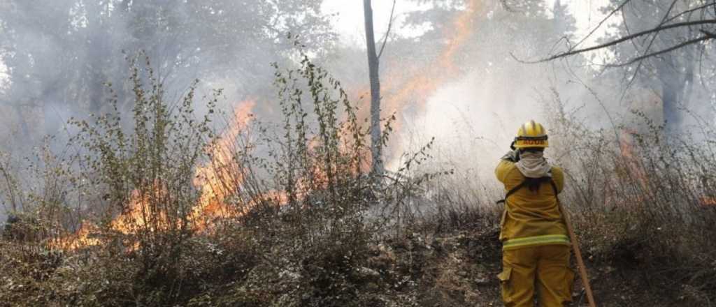 Incendios forestales en San Luis, Tucumán, Córdoba, La Rioja y Jujuy