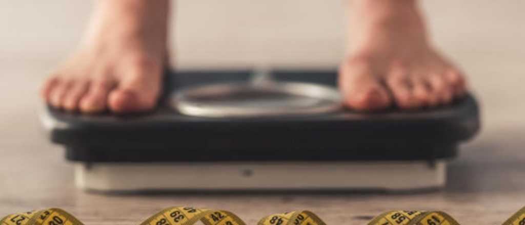 Este es el superalimento que te ayudar&aacute; con el peso y el colesterol