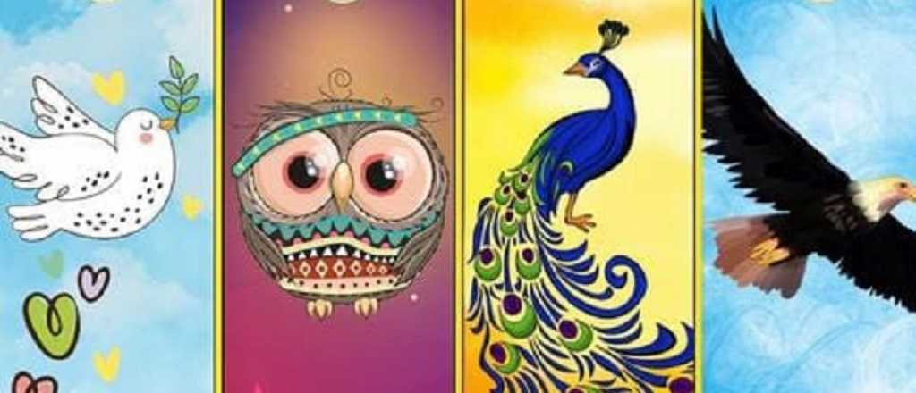 Test: el animal que capte tu atenci&oacute;n define tu personalidad