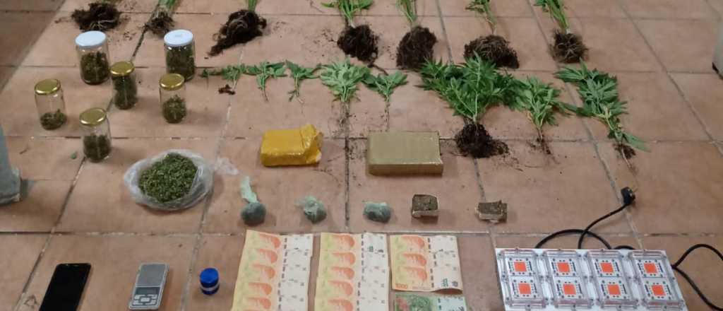 Desbarataron un kiosquito de marihuana en San Mart&iacute;n