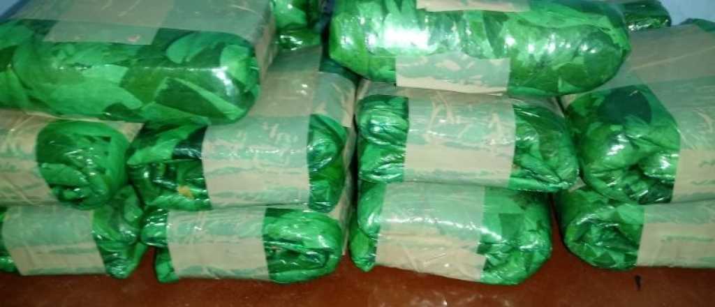 Tres inmigrantes ilegales viajaban con hojas de coca a Mendoza