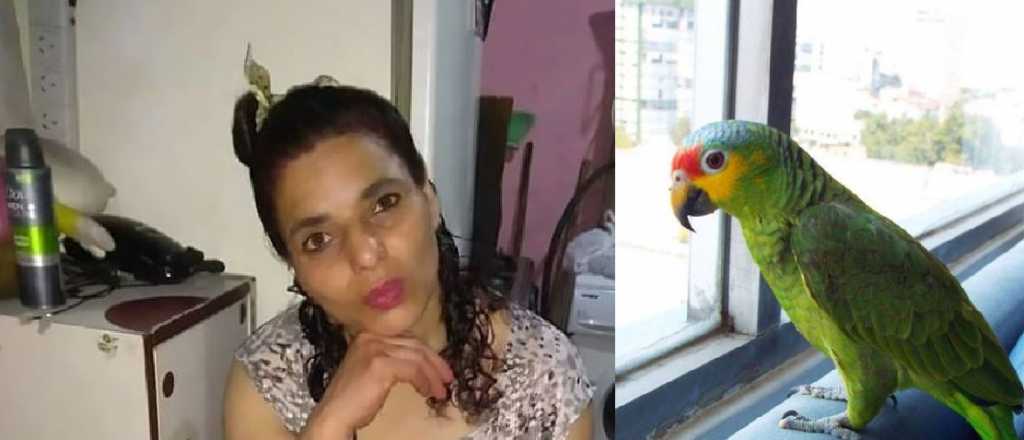 El loro que permiti&oacute; una condena perpetua a un femicida