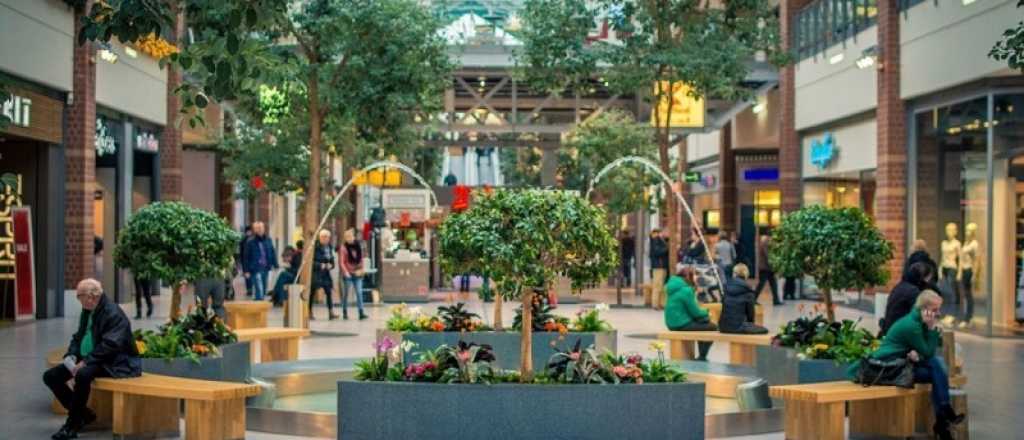 Estos son los beneficios de la neuroarquitectura