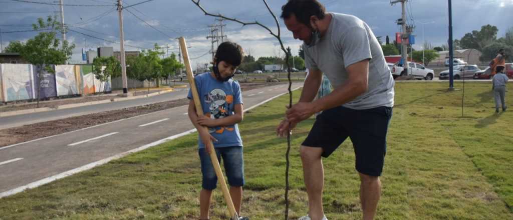 Plantaron 100 árboles en un nuevo parque ubicado en Godoy Cruz