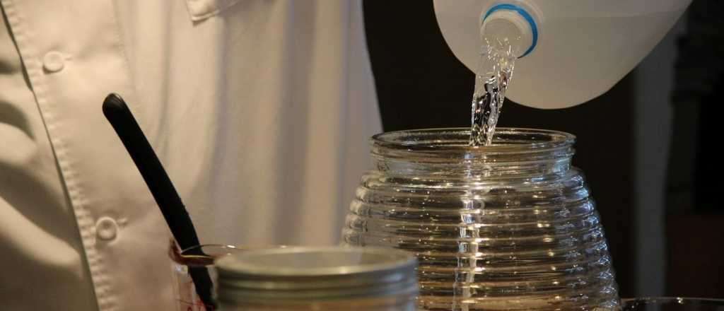 La forma más fácil de preparar Kombucha: beneficios y peligros