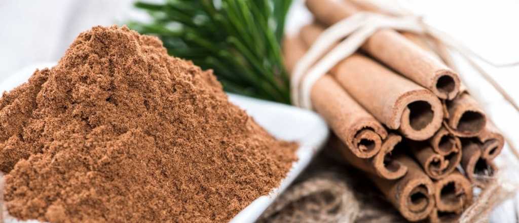 As&iacute; deb&eacute;s usar la canela para cuidar tus plantas