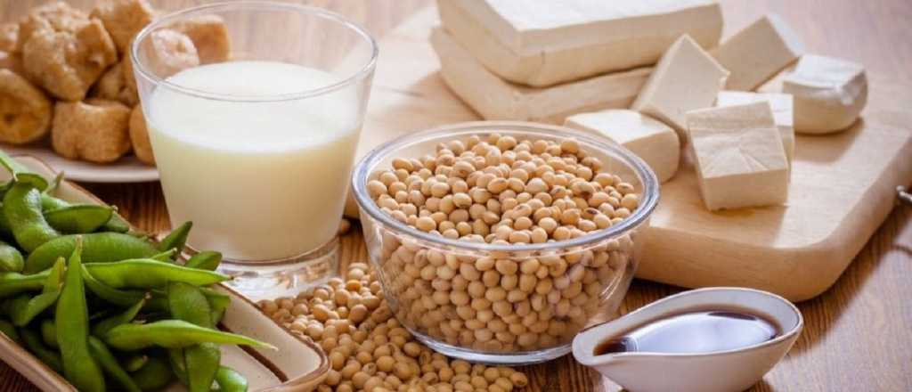 ¿Cuáles son los beneficios de consumir leche de soja?