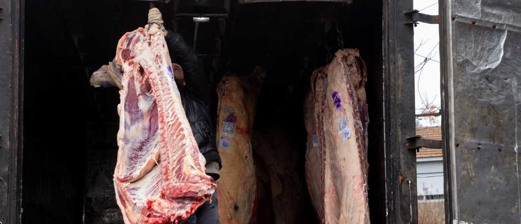 Trump anunció que podría comprar carne argentina