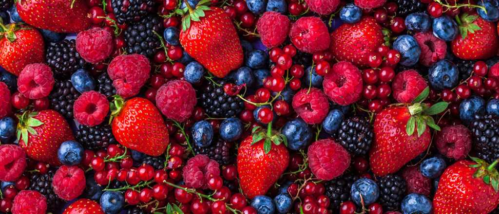 Refuerza tu memoria con este superalimento