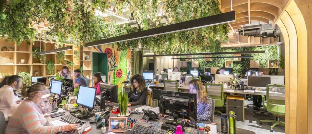 Los beneficios del dise&ntilde;o biof&iacute;lico, la nueva tendencia en interiores