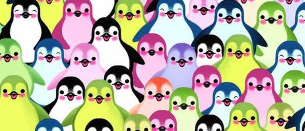 Reto viral: encontrá la palta en medio de todos los pingüinos