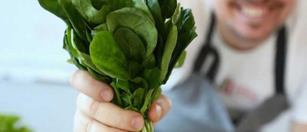 Los beneficios que trae al organismo comer espinaca