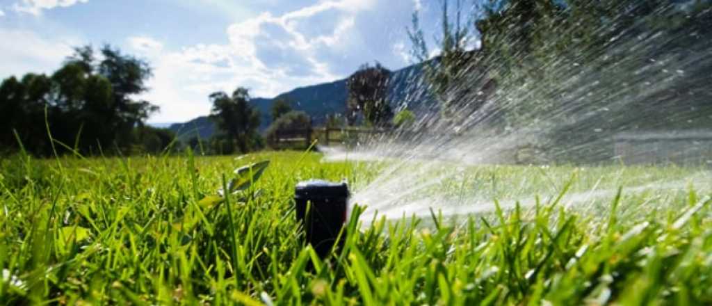 As&iacute; deb&eacute;s cuidar el c&eacute;sped en oto&ntilde;o