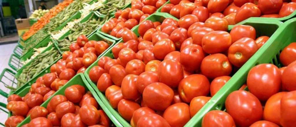 Bajó un 8% la superficie cultivada de tomate en Mendoza