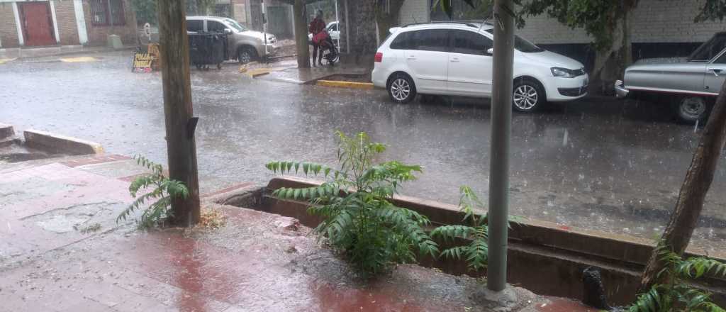 Calles inundadas y árboles caídos en Mendoza tras la tormenta