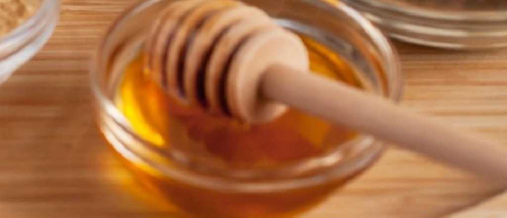 ¿Engorda más la miel o el azúcar?