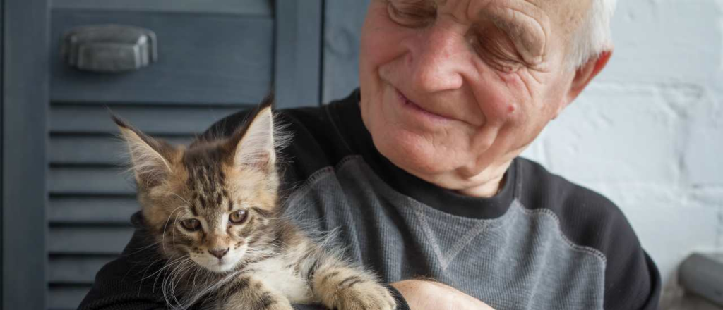  Estos son los beneficios que le aporta un gato a una persona mayor