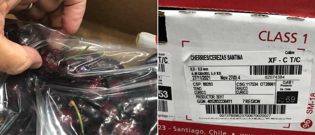 Mendoza presentó un reclamo a Nación por la importación de cerezas chilenas