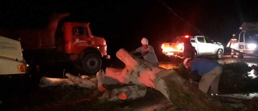Dos personas murieron aplastadas por un árbol en Lavalle durante la tormenta