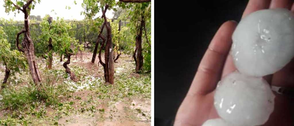 La tormenta de granizo provocó graves daños en Lavalle