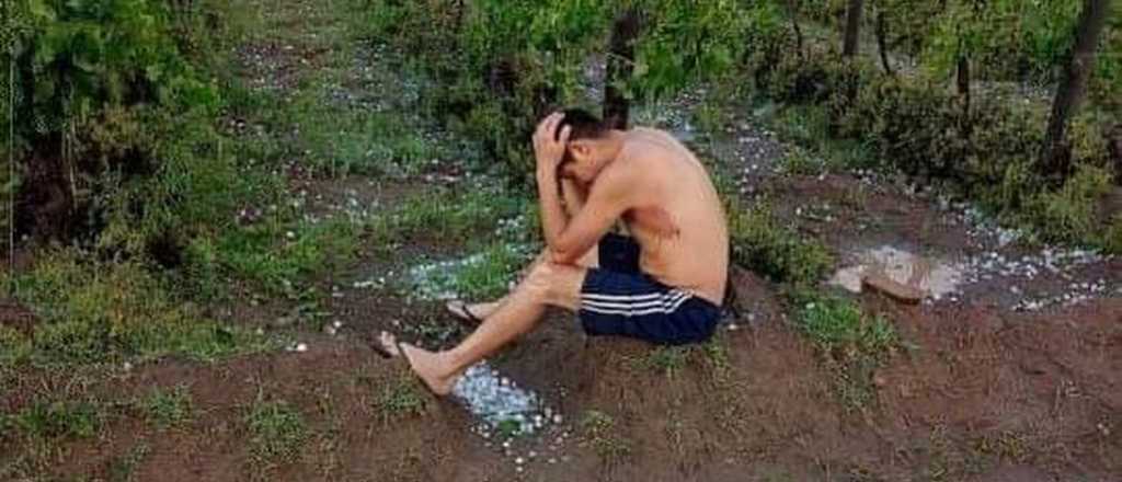 La triste foto de un productor que perdió todo por la tormenta de granizo
