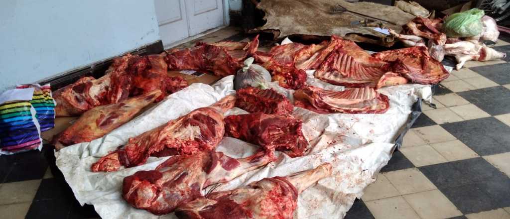 Secuestran más de 300 kilos de carne en el Valle de Uco