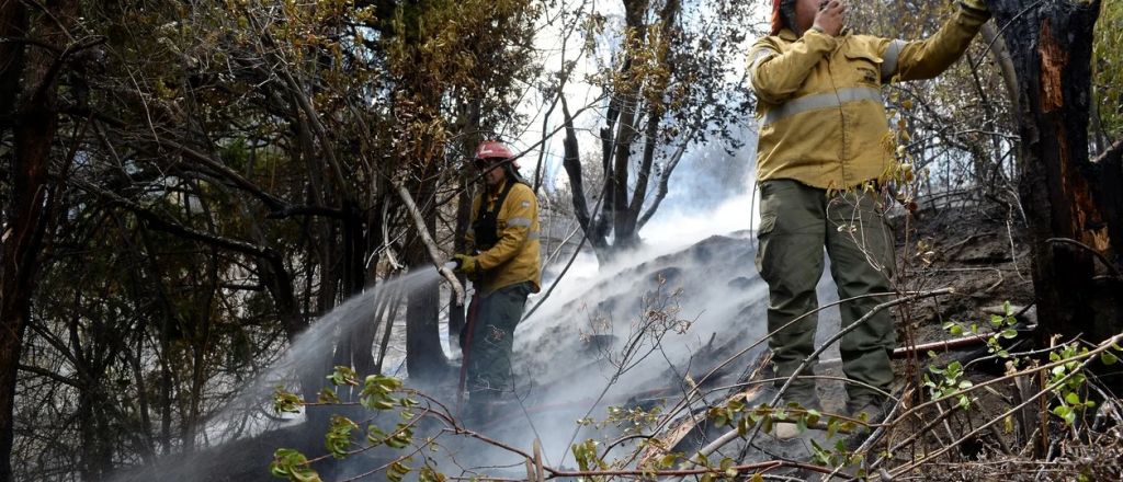Siguen los incendios forestales en la Patagonia