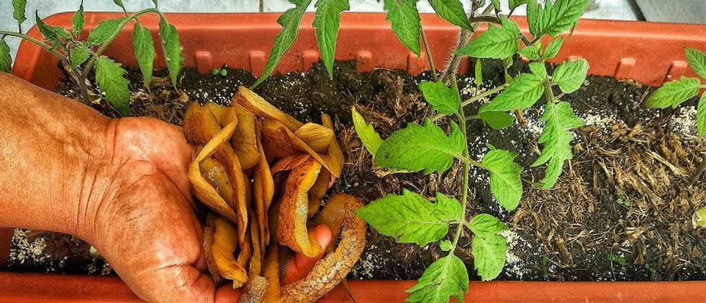 Fertilizá tu jardín cómo un profesional económica y fácilmente