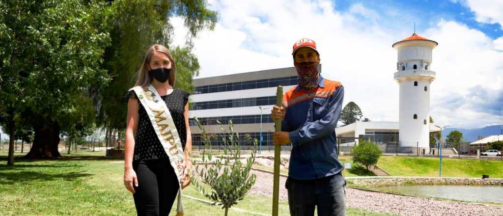 Maip&uacute; alcanz&oacute; el objetivo de plantar 8.000 &aacute;rboles