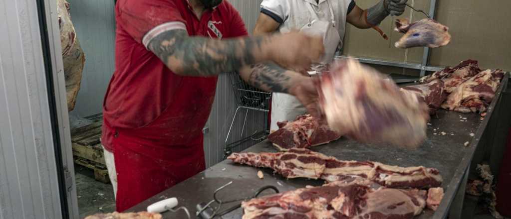 Nuevas reglas: el Gobierno prohibi&oacute; la exportaci&oacute;n de 7 cortes de carnes