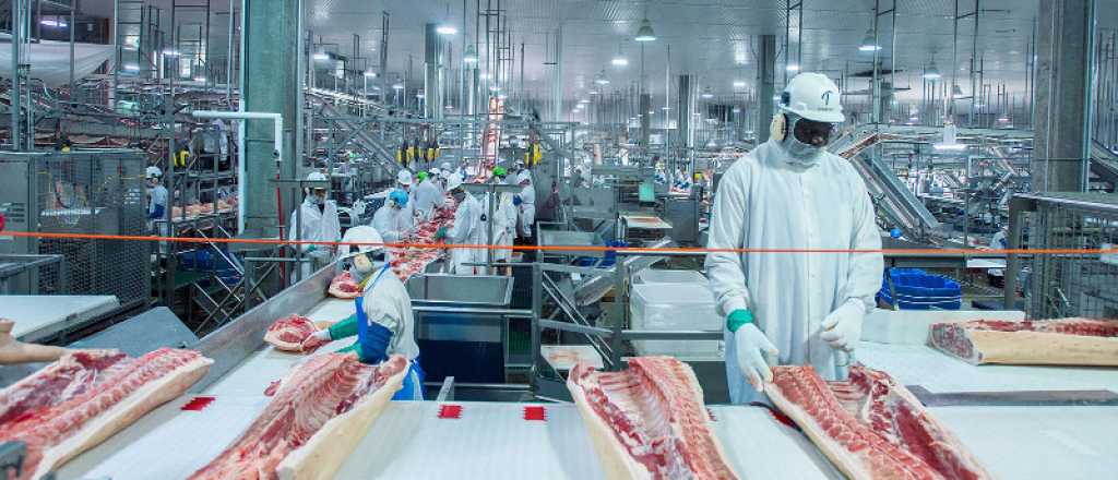 Creció el uso de la capacidad instalada de la industria