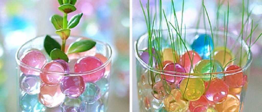 Tips del hogar: decorá tus suculentas, cactus y plantas con bolitas de gel