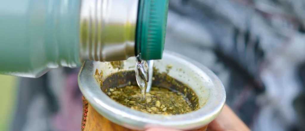 ¿Cómo sacar el sarro dentro del termo?