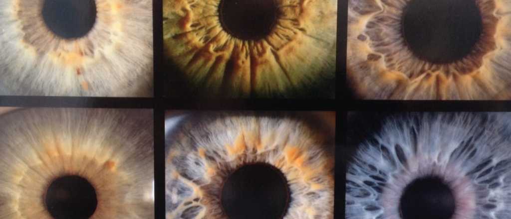 La f&oacute;rmula de Roger Zald&iacute;var para saber qu&eacute; color de ojos tendr&aacute; tu hijo