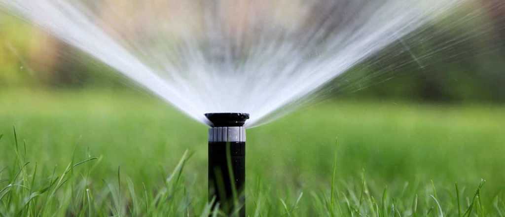 Riego: c&oacute;mo tener un jard&iacute;n perfecto sin derrochar agua