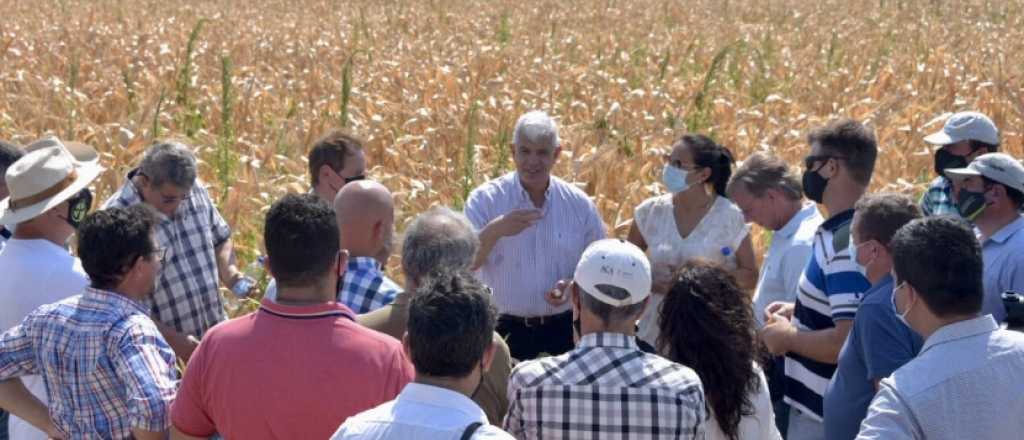 Dom&iacute;nguez dice que les dar&aacute;n soluciones a los afectados por la sequ&iacute;a