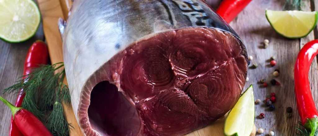 El superalimento rico en vitamina D y &aacute;cidos grasos Omega-3